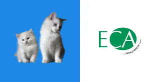 La résiliation d'une mutuelle animaux ECA