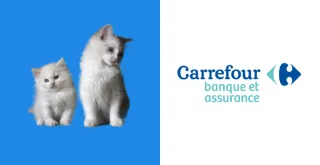 Comment résilier une mutuelle animaux Carrefour Assurance ?