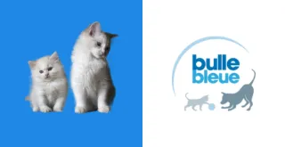 Comment résilier une mutuelle pour animaux Bulle Bleue ?