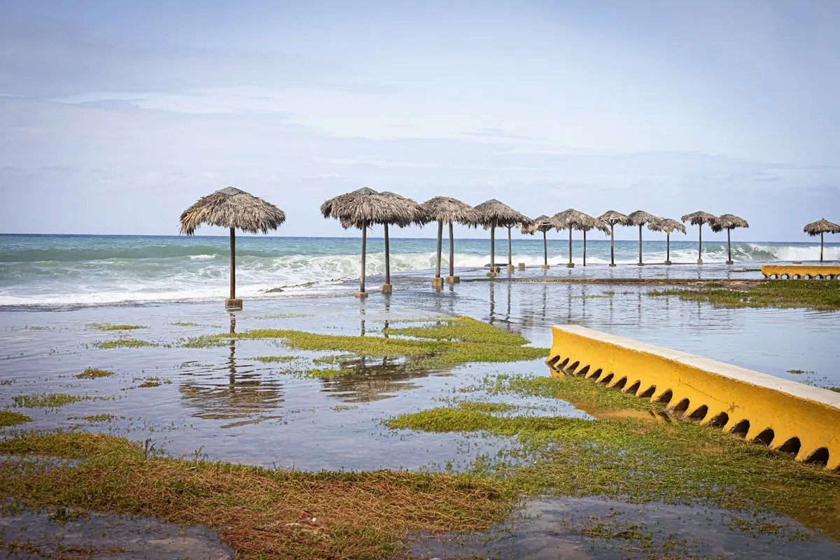 Hausse de la cotisation catastrophes naturelles : à quoi faut-il s'attendre ?