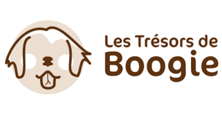 logo Les Trésors de Boogie